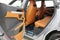 2026 Lamborghini Urus SE/LEASE OPTIONS AVAILABLE